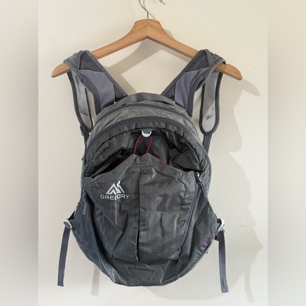 Gregory Charcoal and Purple Backpack